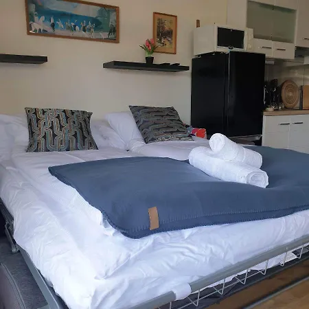 شقة Magyartenger *